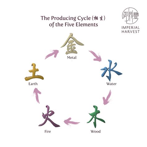 五行 英文|Five Elements (五行) in Chinese Metaphysics